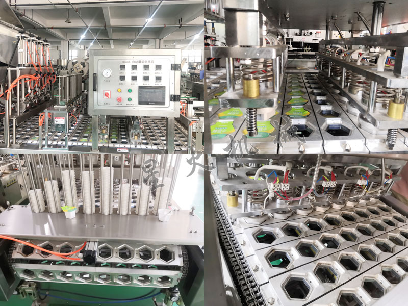 江蘇盒裝牛肉滑自動(dòng)灌裝封口機(jī)細(xì)節(jié)實(shí)拍